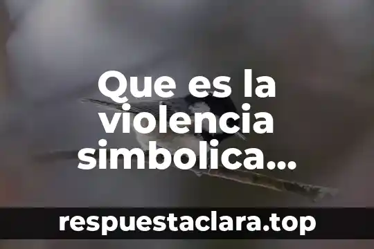 Que es la violencia simbolica contra la mujer