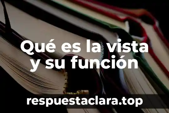 Qué es la vista y su función
