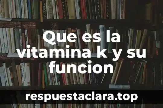 Que es la vitamina k y su funcion