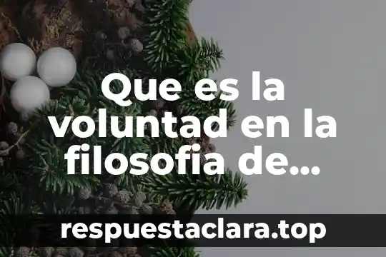 Que es la voluntad en la filosofia de schopenhauer