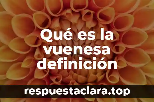 Qué es la vuenesa definición