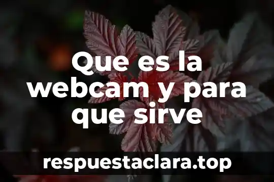Que es la webcam y para que sirve