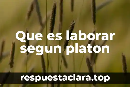 Que es laborar segun platon