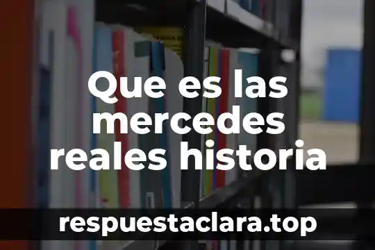 Que es lerdo en historia 7 Que es las mercedes reales historia