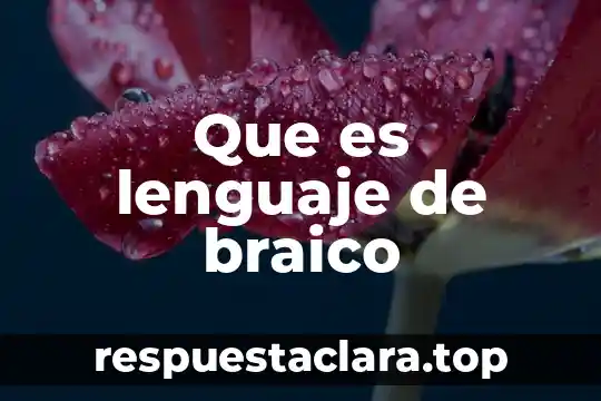 Que es lenguaje de braico