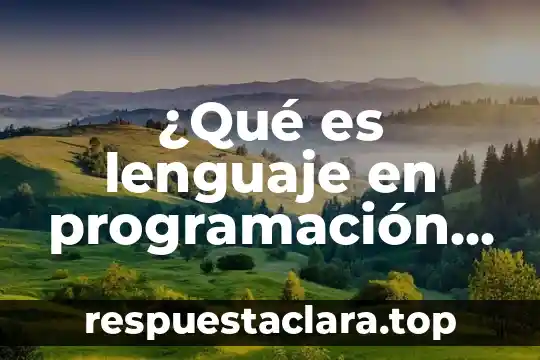 ¿Qué es lenguaje en programación definición?