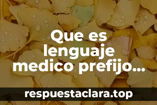 Que es lenguaje medico prefijo y sufijo