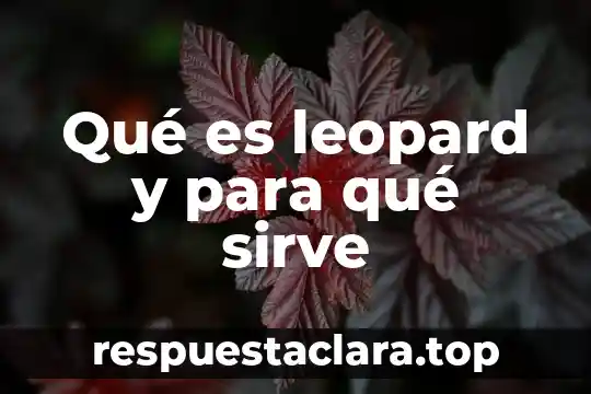 Rosa de los vientos que es y para que sirve 8 Qué es leopard y para qué sirve