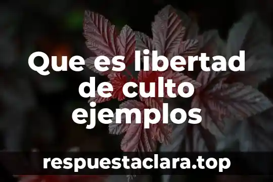 Que es el valor de la libertad para honores 7 Que es libertad de culto ejemplos