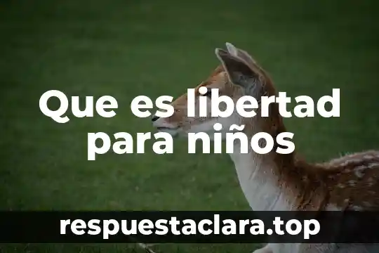 Que es el valor de la libertad para honores 3 Que es libertad para niños