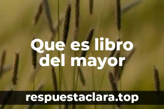 Que es libro del mayor