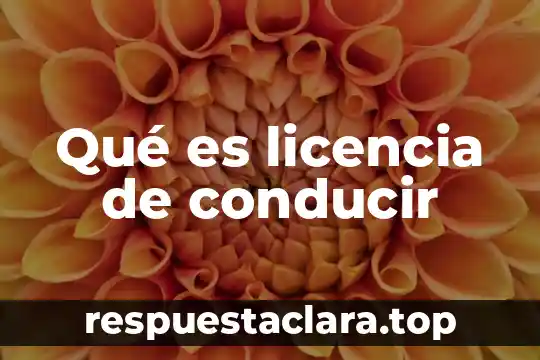 Qué es licencia de conducir