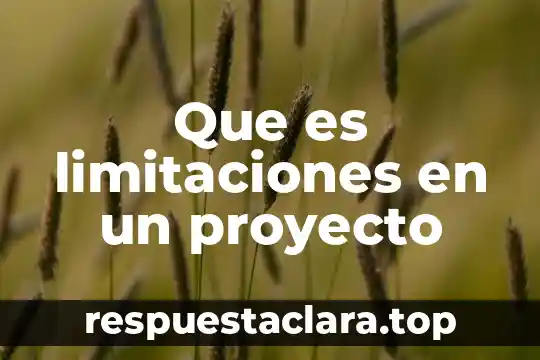 Alcances y limitaciones que es 3 Que es limitaciones en un proyecto