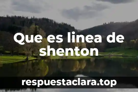 Que es la linea de succion del refrigerador 8 Que es linea de shenton