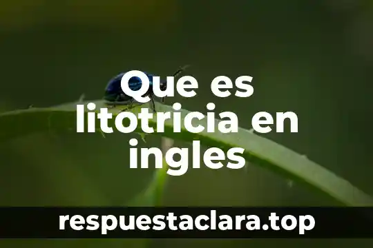 Que es litotricia en ingles
