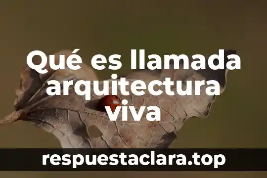 Que es llamada de accion en facebook 8 Qué es llamada arquitectura viva