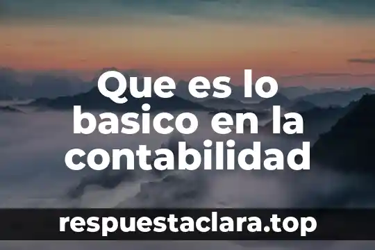 Que es lo basico en la contabilidad