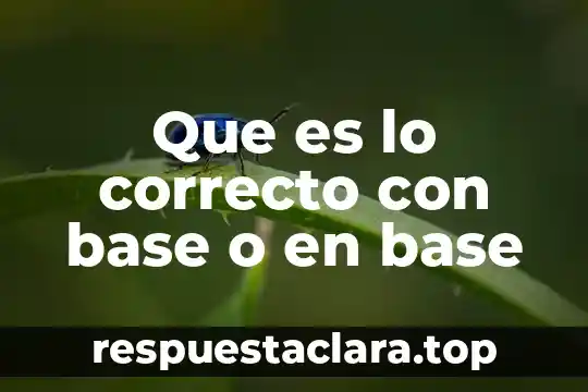 Que es lo correcto con base o en base