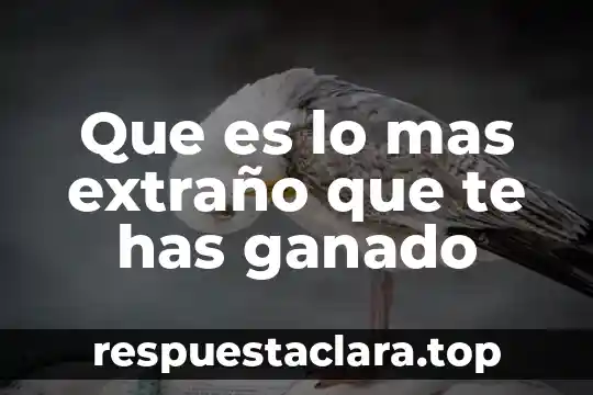 Qué es microelementos en la nutricion animal ganado 7 Que es lo mas extraño que te has ganado