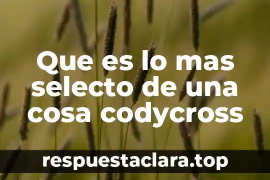 Que es lo mas selecto de una cosa codycross
