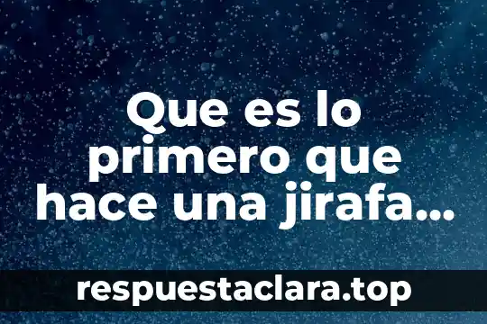 Que es lo primero que hace una jirafa cuando amanece