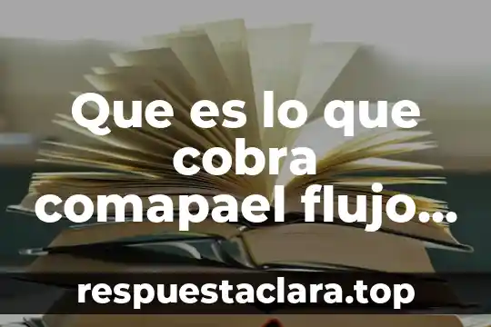 Que es lo que cobra comapael flujo de agua