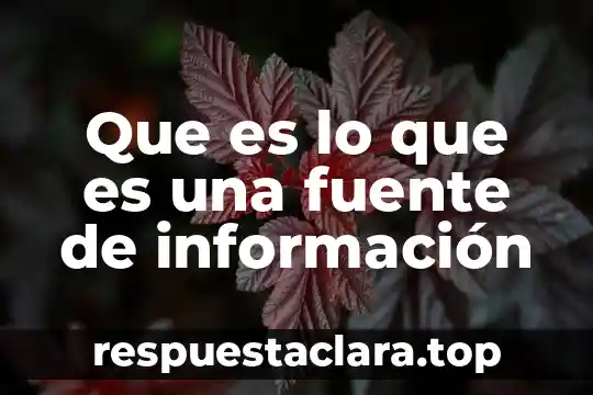 Que es lo que es una fuente de información