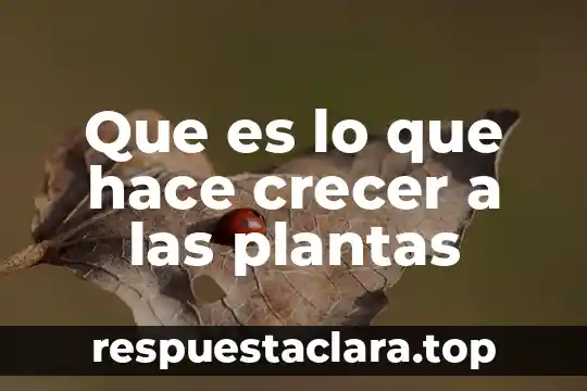 Que es un balanceo de linea y como se hace 4 Que es lo que hace crecer a las plantas