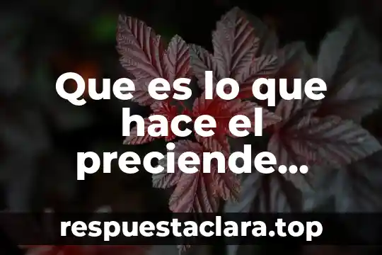 Que es lo que hace una operadora automotriz 8 Que es lo que hace el preciende obrador con kelseniana