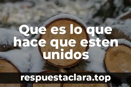 Que es lo que hace que esten unidos
