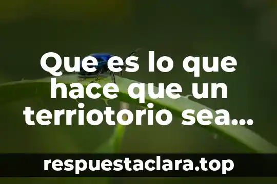 Que es lo que hace una operadora automotriz 7 Que es lo que hace que un terriotorio sea un país
