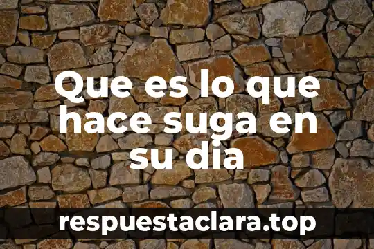 Que es lo que hace suga en su dia