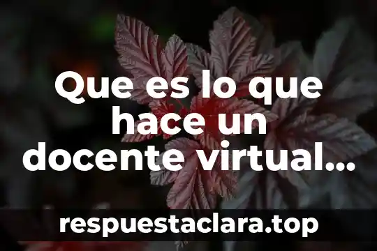 Que es lo que hace un docente virtual 2018