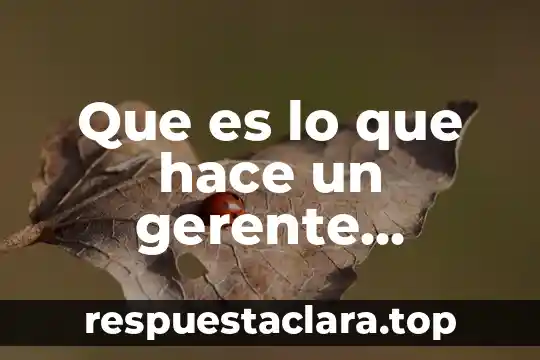Que es lo que hace un gerente administrativo