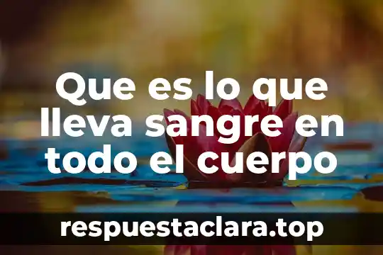 Que es lo que lleva sangre en todo el cuerpo