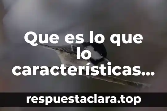 Que es lo que lo características a pitagoras