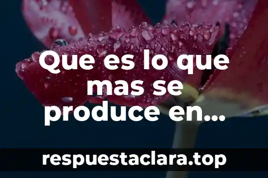Que es lo que mas se produce en españa