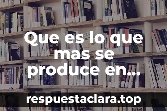 Que es lo que mas se produce en mauricio