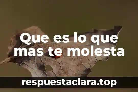 Persona que es fan del te nombre 3 Que es lo que mas te molesta