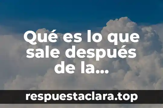 Que es la señal que sale en fortnite 6 Qué es lo que sale después de la fotosíntesis