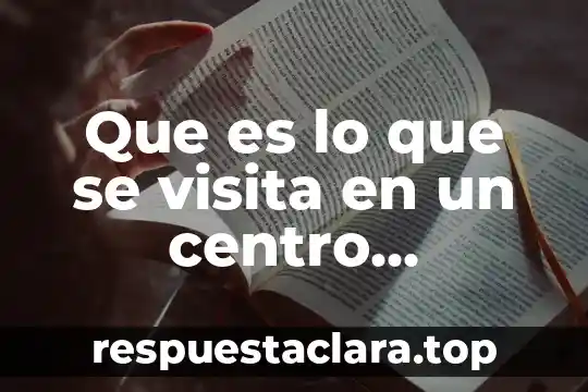 Que es lo que se visita en un centro comercial