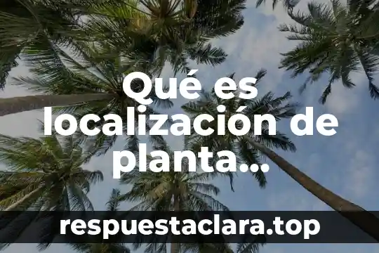 Qué es localización de planta distintos autores