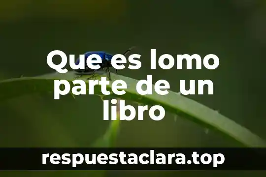 Que es lomo parte de un libro