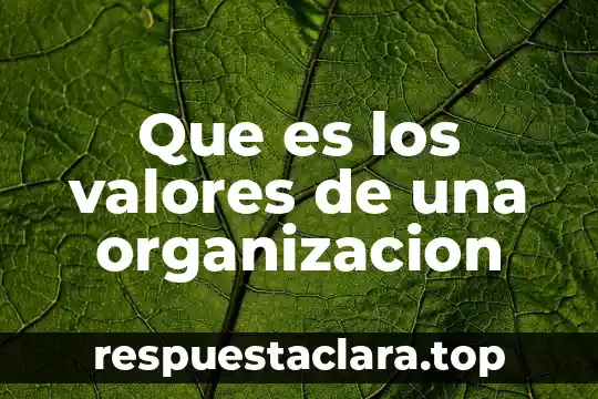 Qué es una sociedad civil y su organización 4 Que es los valores de una organizacion