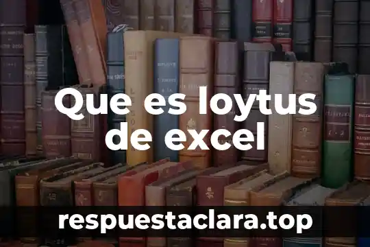 Que es una representación absoluta en excel 5 Que es loytus de excel