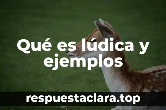 Qué es lúdica y ejemplos