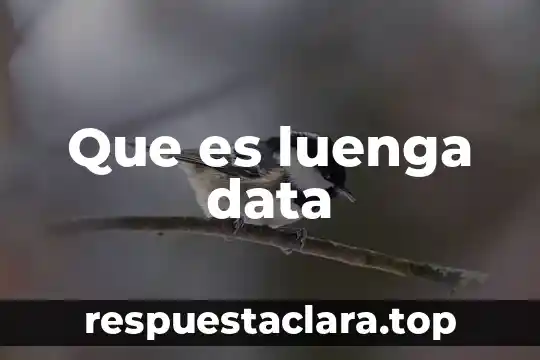 Que es el problem solving y data sufficiency 6 Que es luenga data