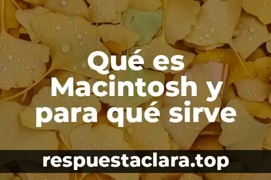 Qué es un bemol y para qué sirve 6 Qué es Macintosh y para qué sirve