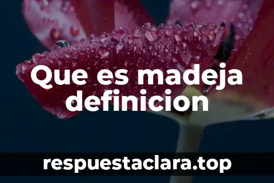 Que es una cuenca definición 7 Que es madeja definicion