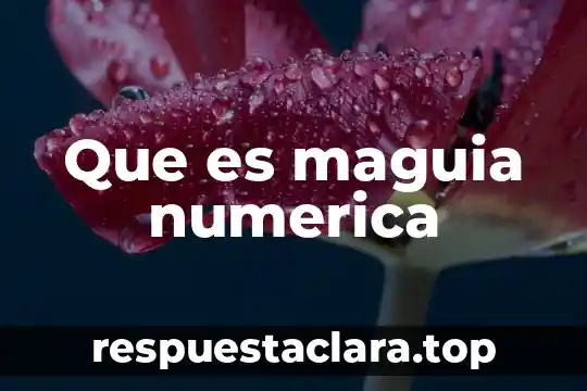 Que es maguia numerica